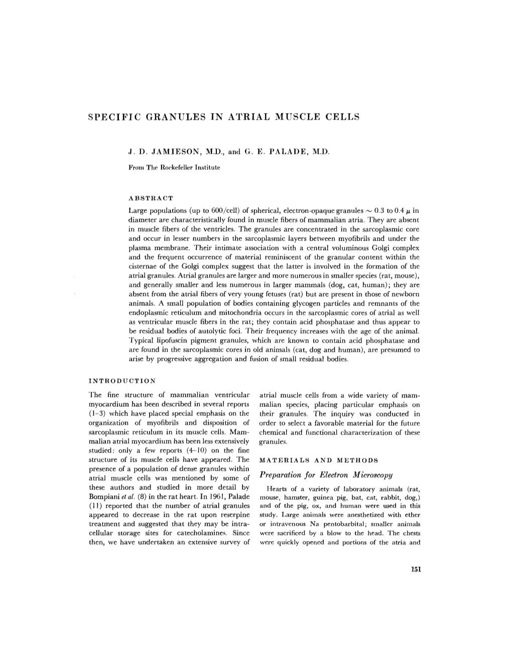 Specific Granules in Atrial Muscle Cells