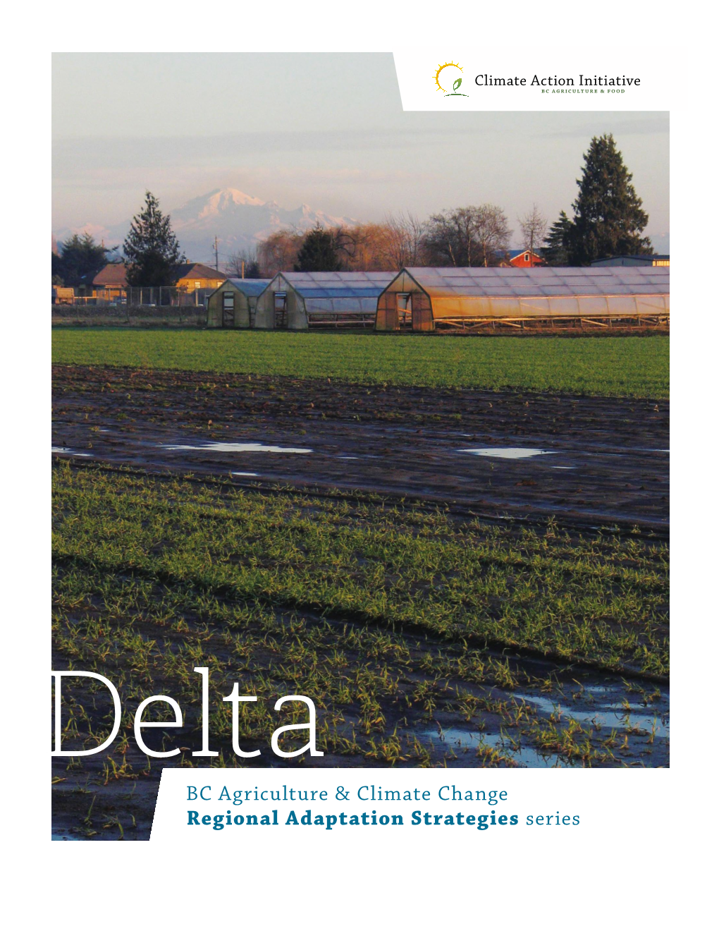 Regional Adaptation Strategies Series -- Delta
