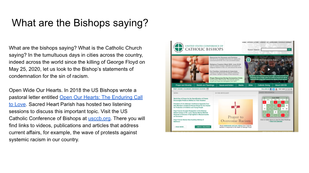 What Are the Bishops Saying?