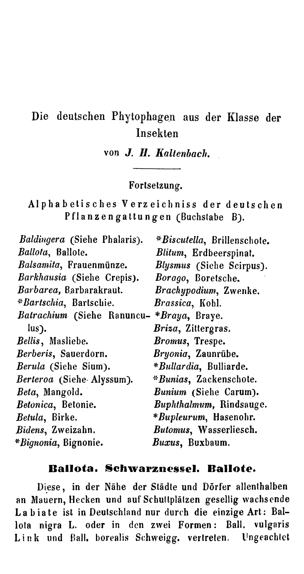 Die Deutschen Phytophagen Aus Der Klasse Der Insekten Ballota