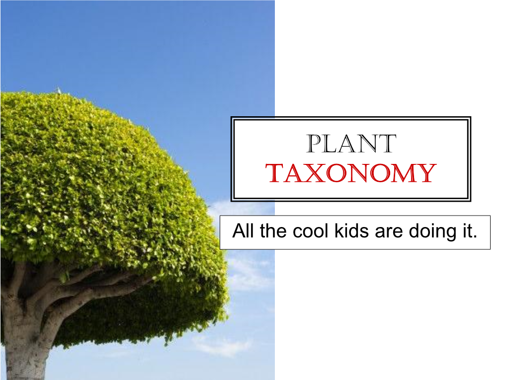 Plant Taxonomy