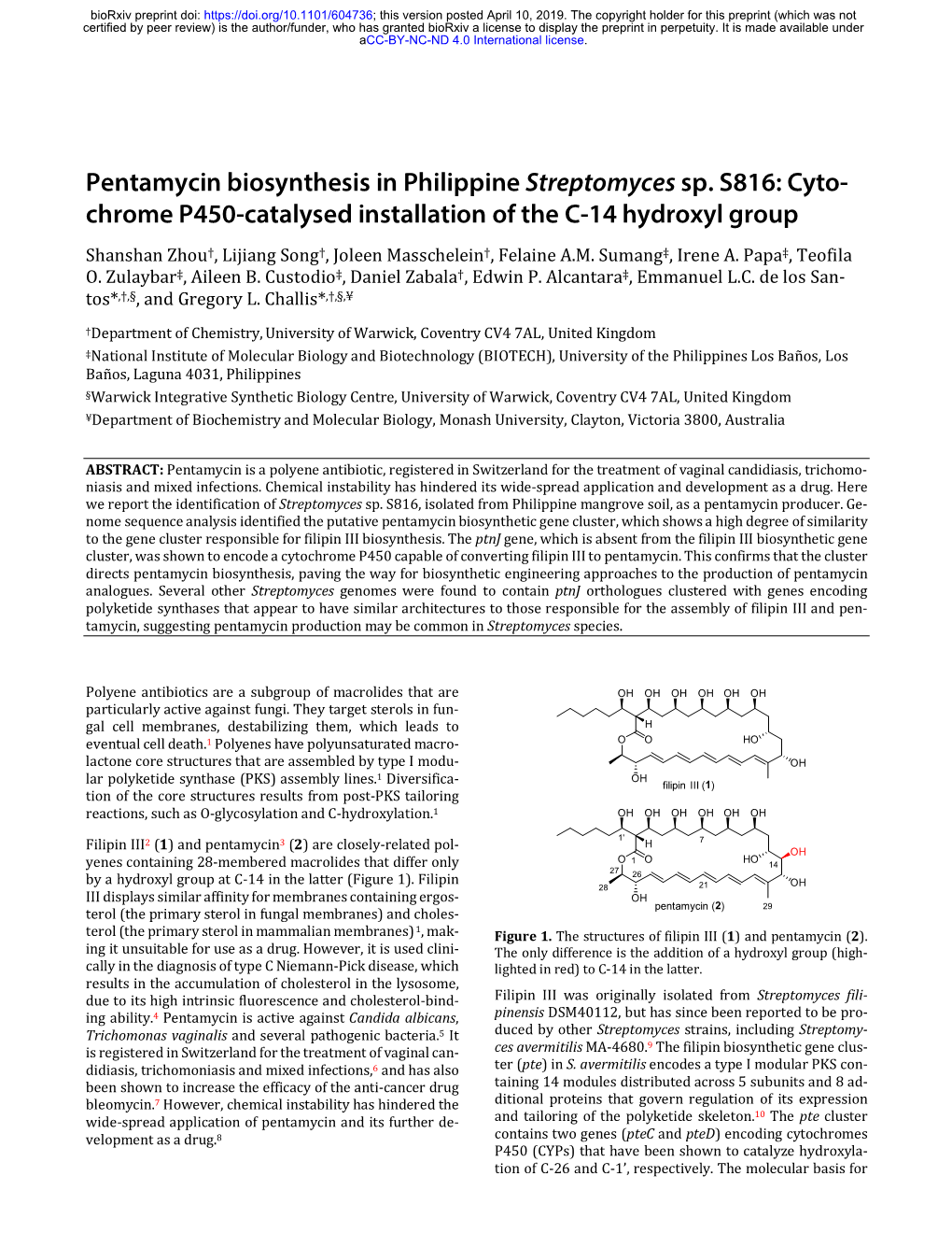 Pentamycin Biosynthesis in Philippine Streptomyces Sp. S816