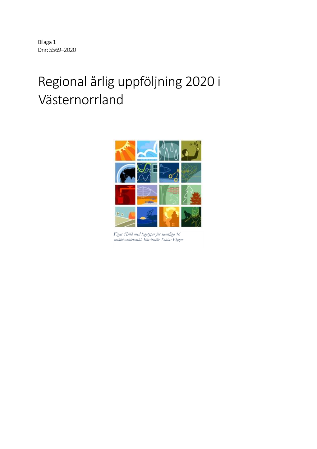 Regional Årlig Uppföljning 2020 I Västernorrland