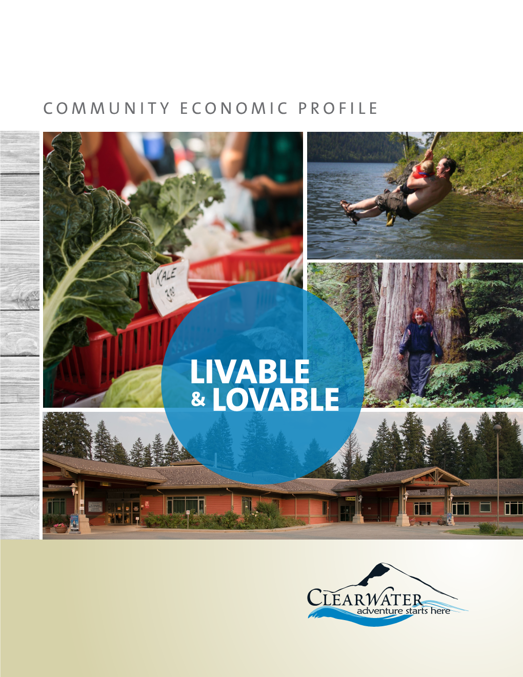 Community Economic Profile