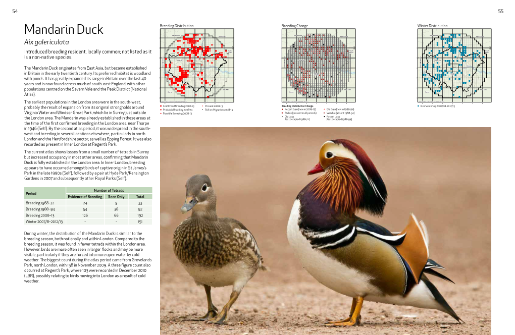 London Bird Atlas Smaple Species Accounts.Split-And-Merged