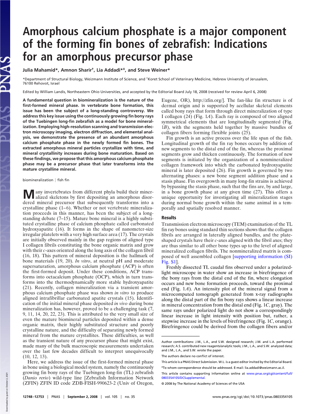 Amorphous Calcium Phosphate Is a Major Component of the Forming Fin Bones of Zebrafish: Indications for an Amorphous Precursor Phase