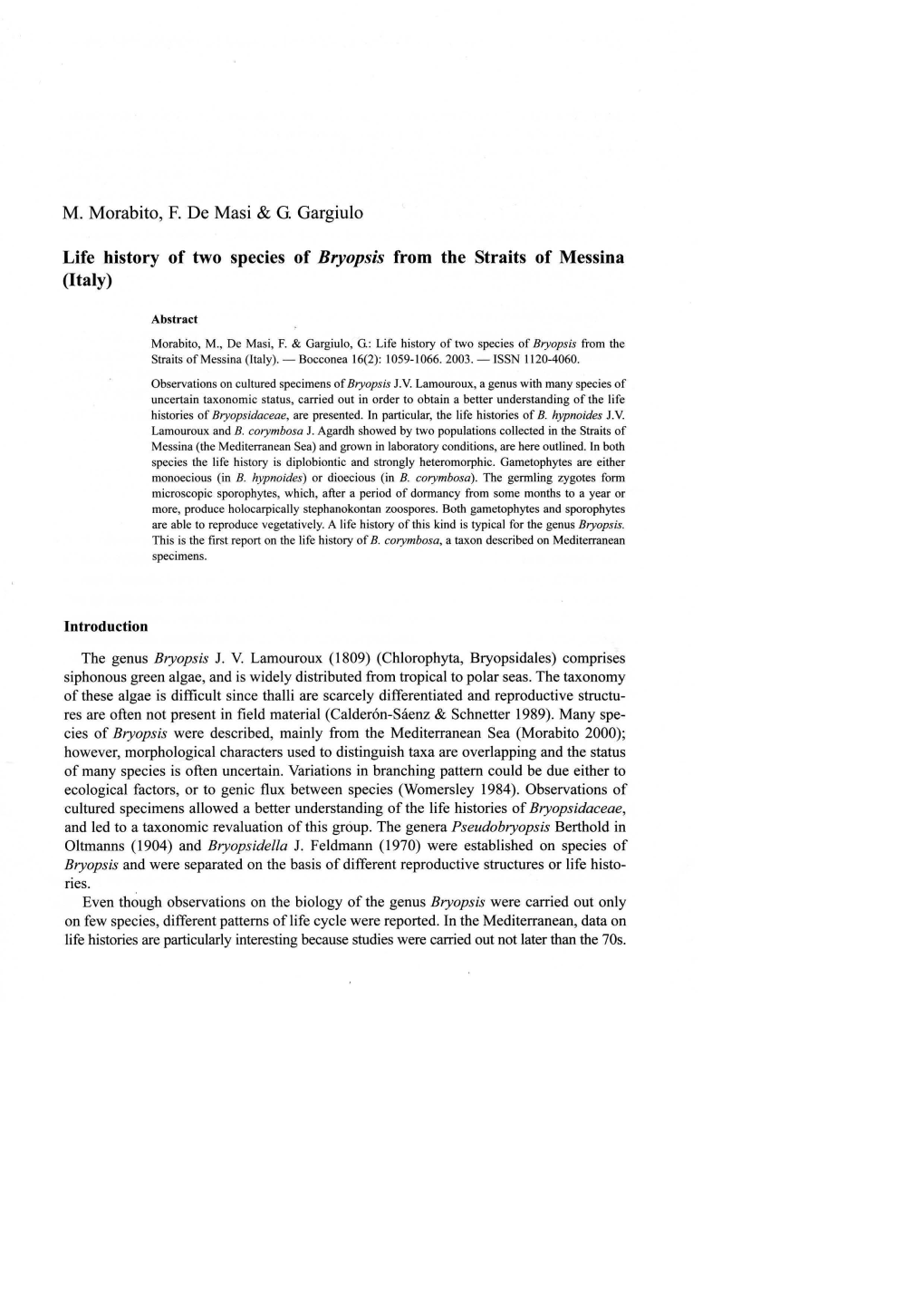 M. Morabito, F. De Masi & G. Gargiulo Life History of Two Species of Bryopsis from the Straits of Messina