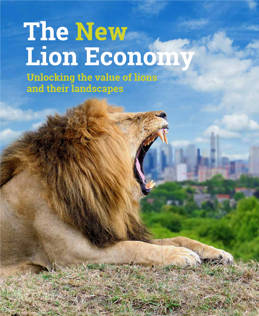 The New Lion Economy Unlocking the Value of Lions and Their Landscapes Contents | Section 1 | Section 2 | Section 3 | Section 4 | Section 5 | Section 6 | Section 7