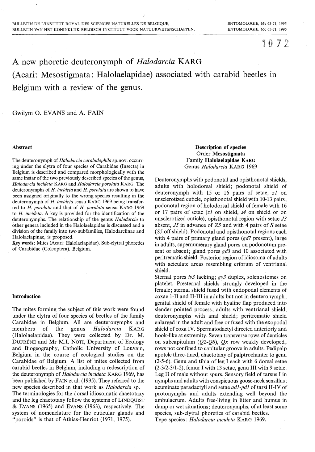 A New Phoretic Deuteronymph of Halodarcia KARG (Acari: Mesostigmata: Halolaelapidae) Associated with Carabid Beetles in Belgium with a Review of the Genus