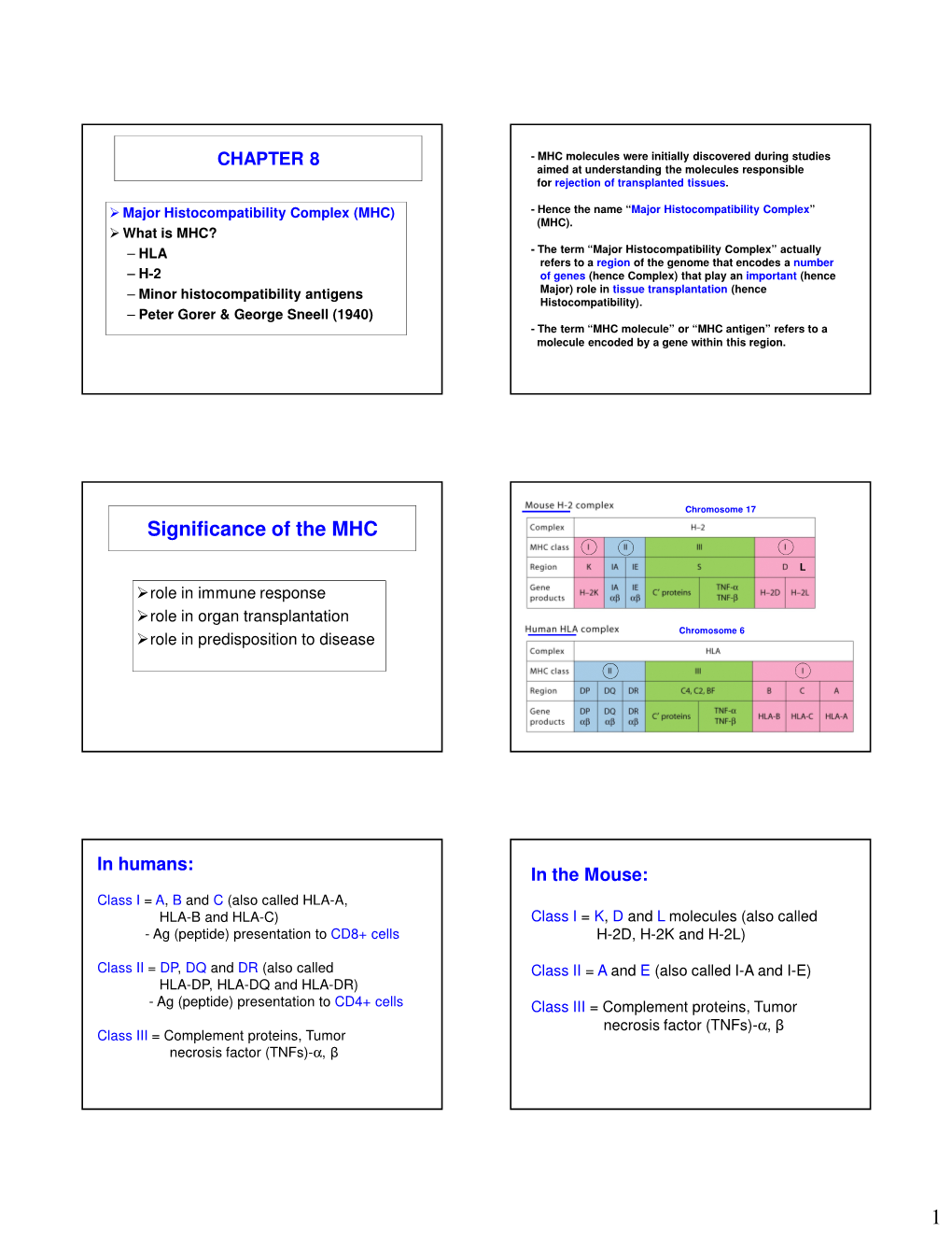 Significance of the MHC