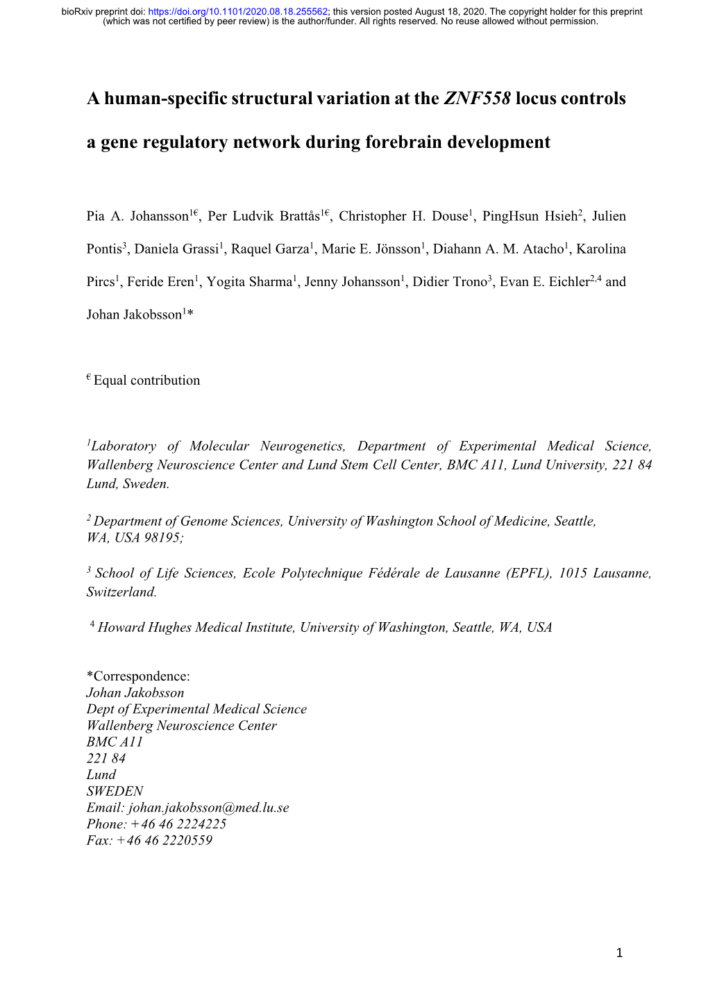 A Human-Specific Structural Variation at the ZNF558 Locus Controls A