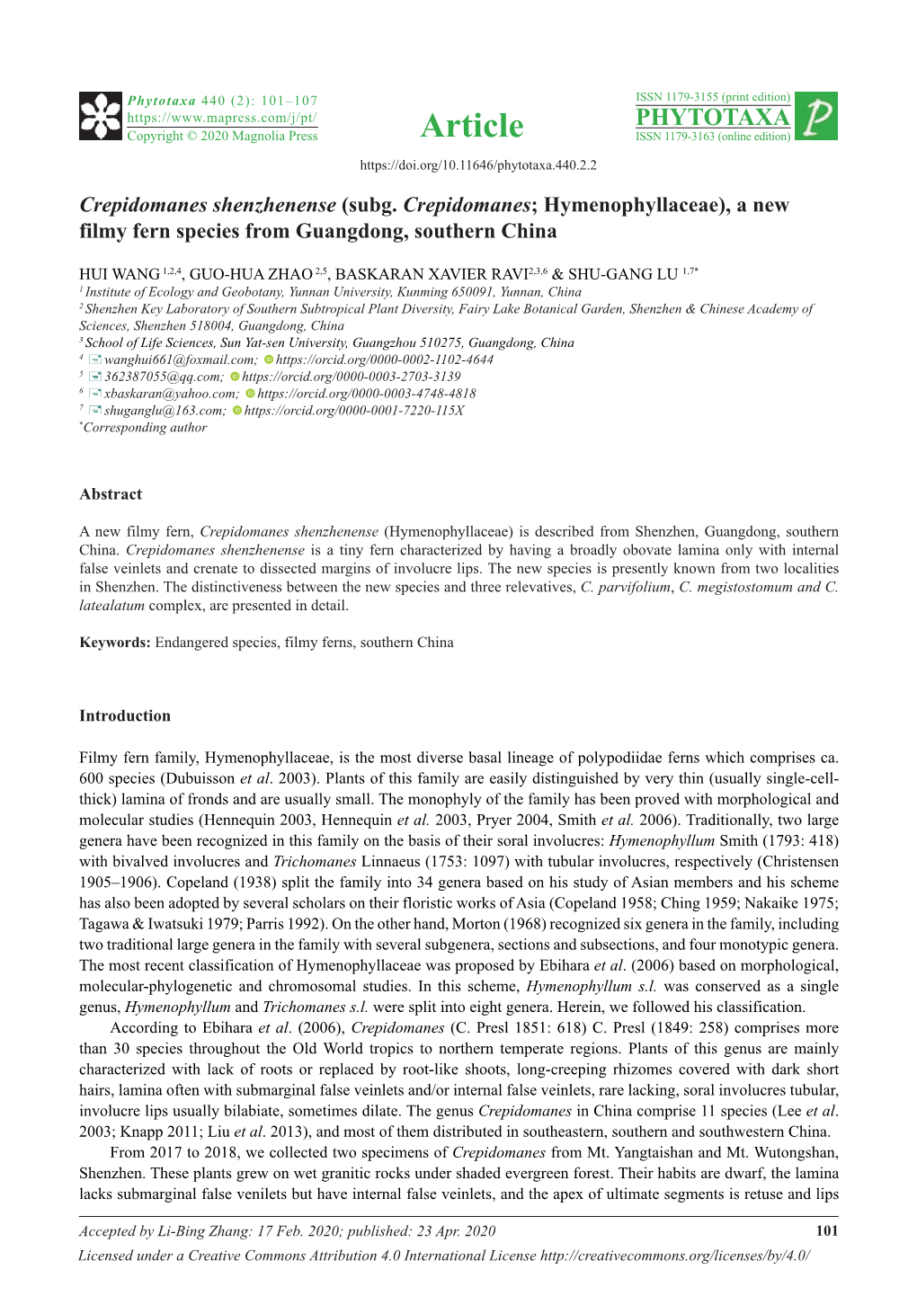 Crepidomanes Shenzhenense (Subg