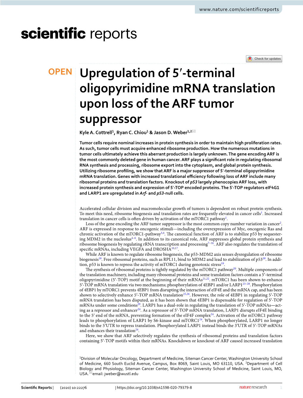 Terminal Oligopyrimidine Mrna Translation Upon Loss of the ARF Tumor Suppressor Kyle A