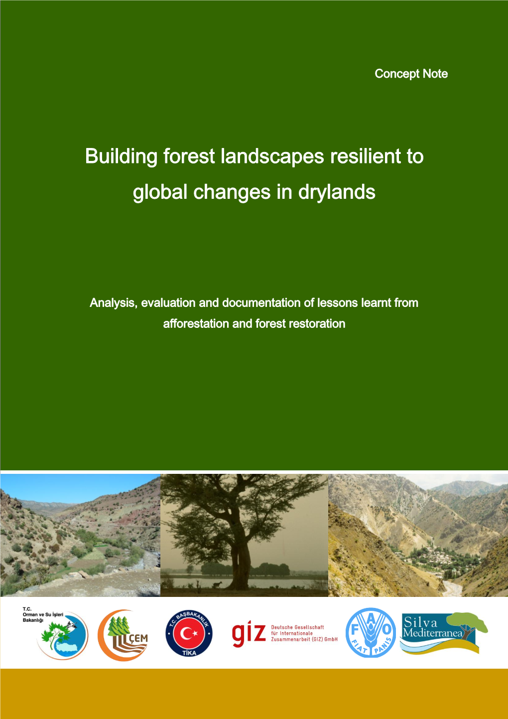 Building Forest Landscapes Resilient to Global Changes in Drylands
