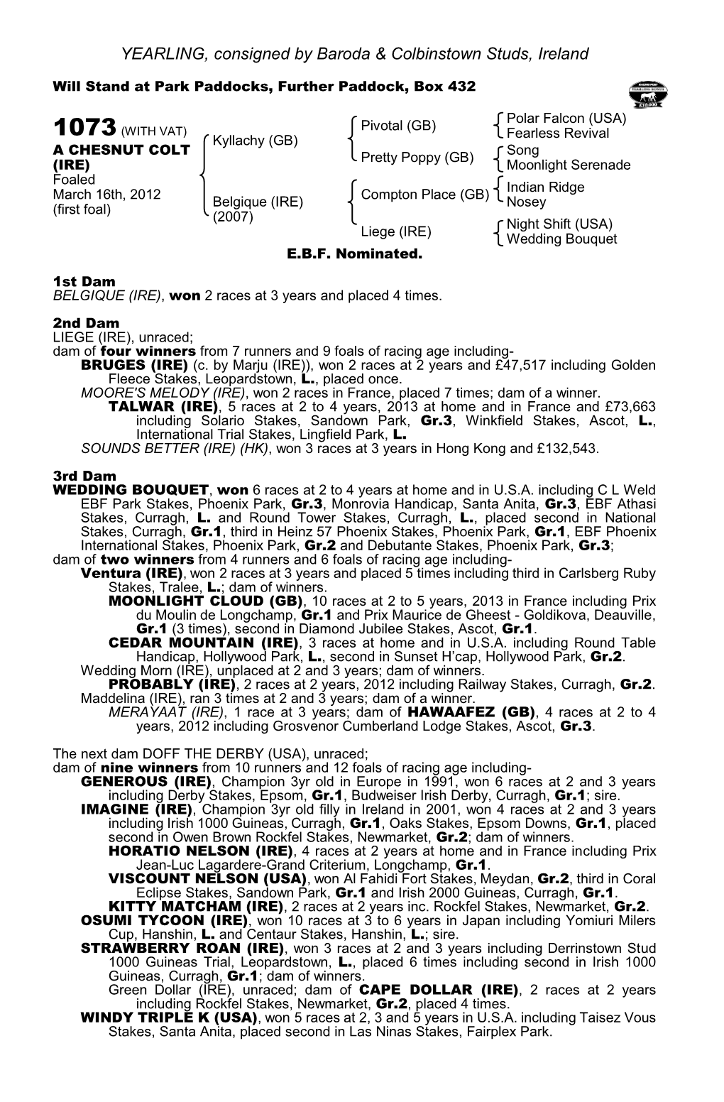 YEARLING, Consigned by Baroda & Colbinstown Studs, Ireland