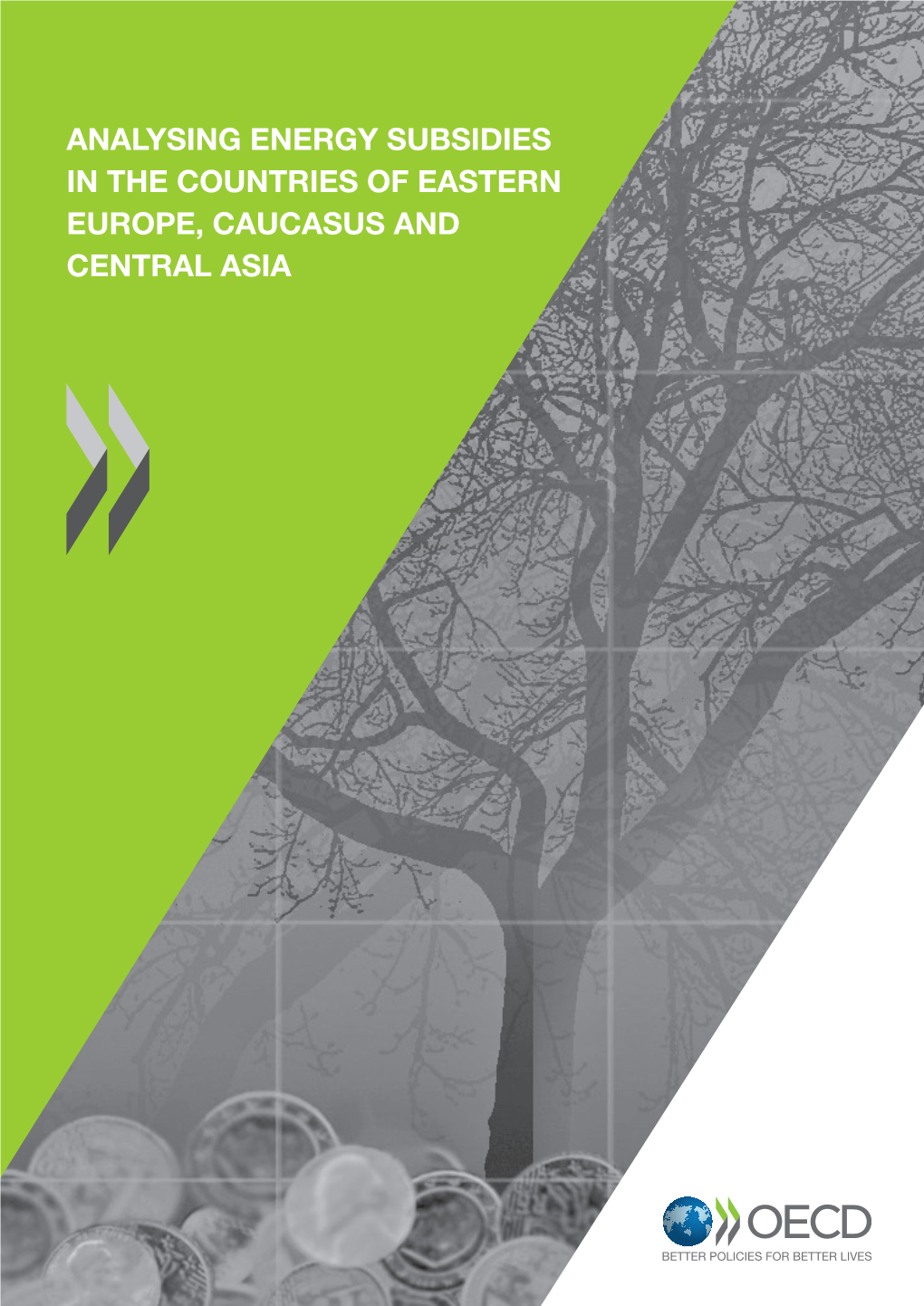 Analysing Energy Subsidies in the Countries of Eastern Europe, Caucasus and Central Asia