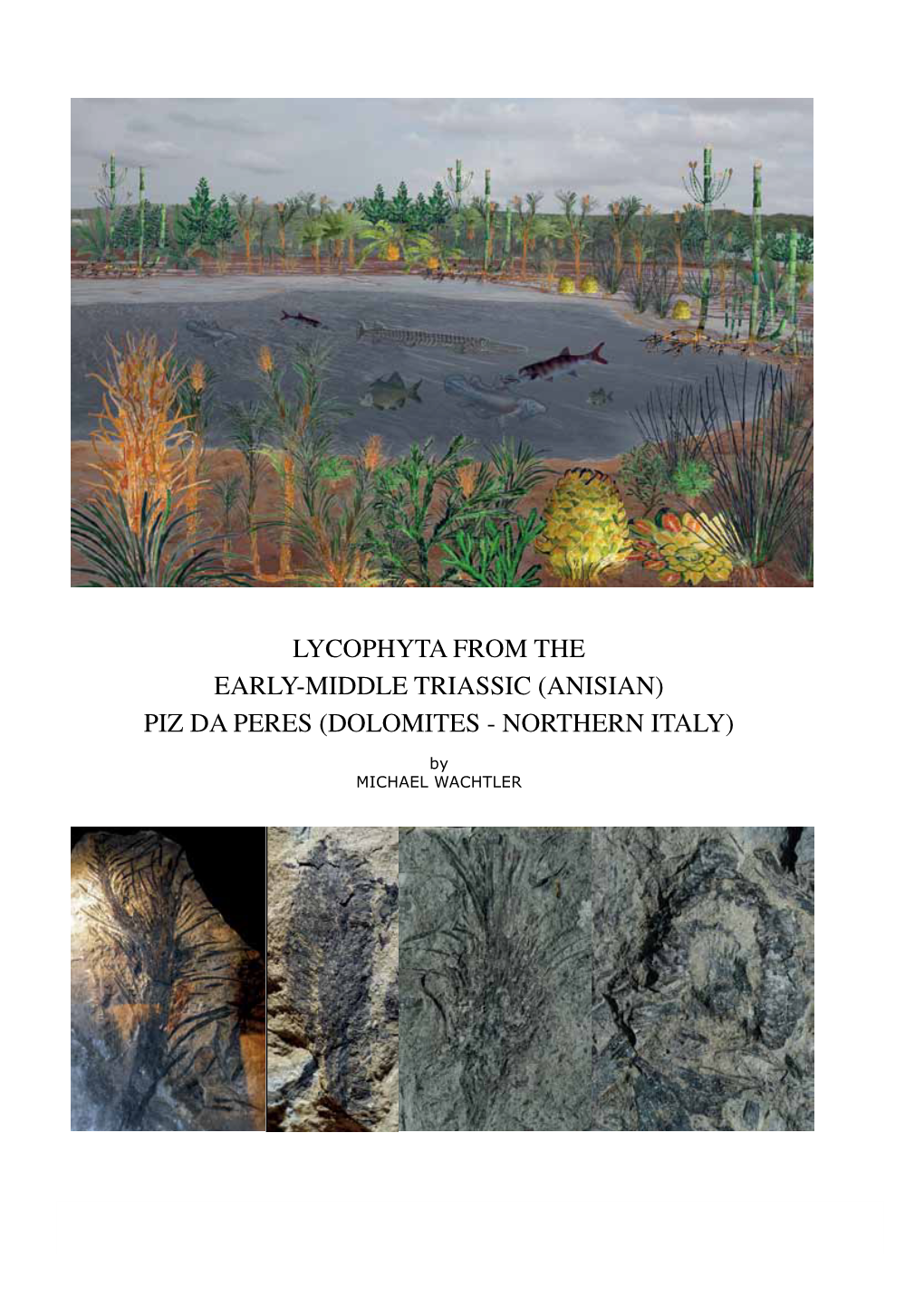 LYCOPHYTA from the EARLY-MIDDLE TRIASSIC (ANISIAN) PIZ DA PERES (DOLOMITES - NORTHERN ITALY) by MICHAEL WACHTLER