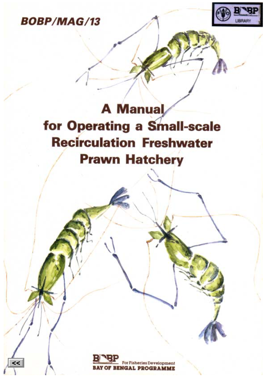 A Manual for Operating a Small-Scale Recirculation Freshwater Prawn Hatchery
