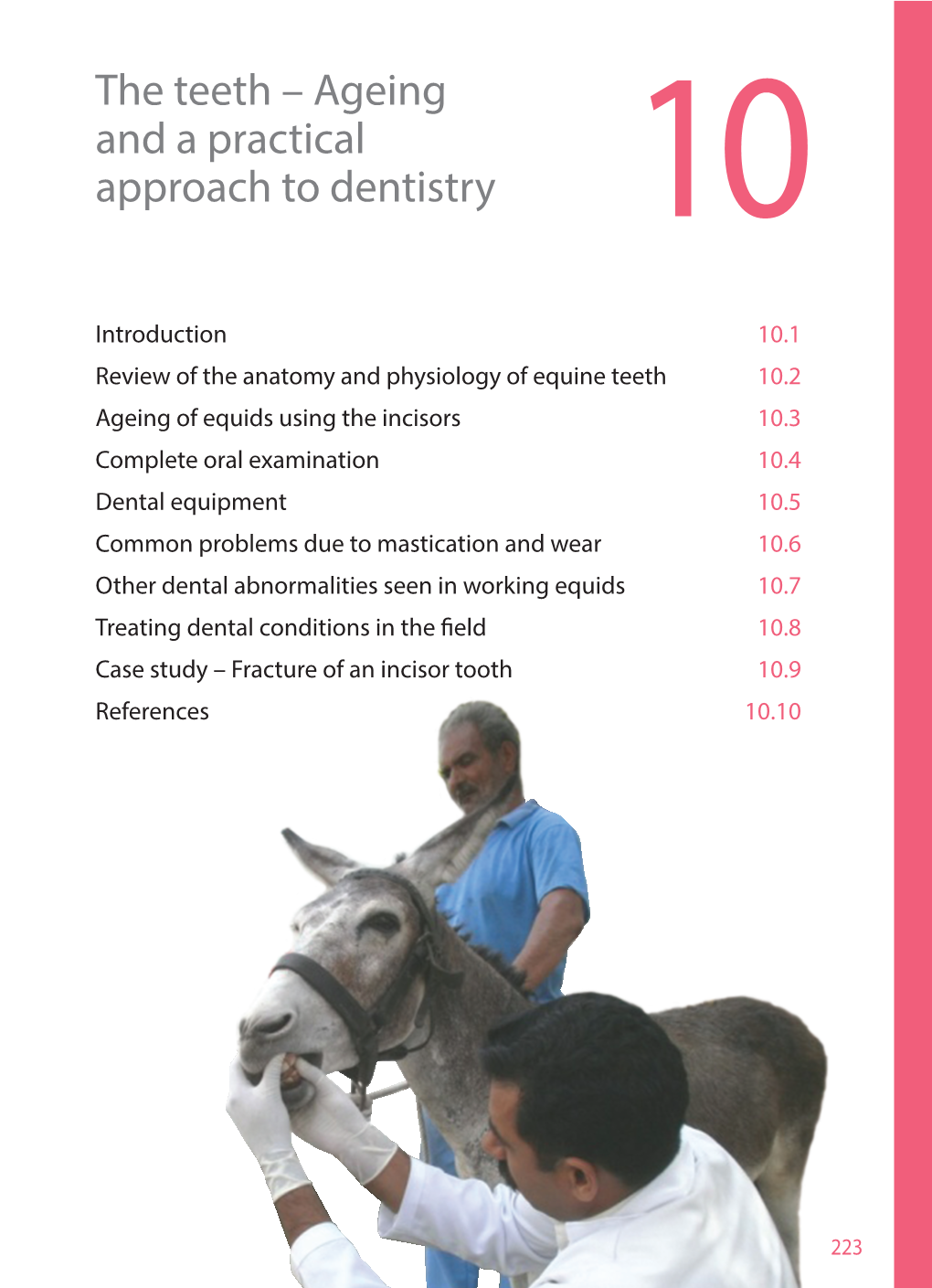 Chapter 10: the Teeth – Ageing and a Practical Approach to Dentistry