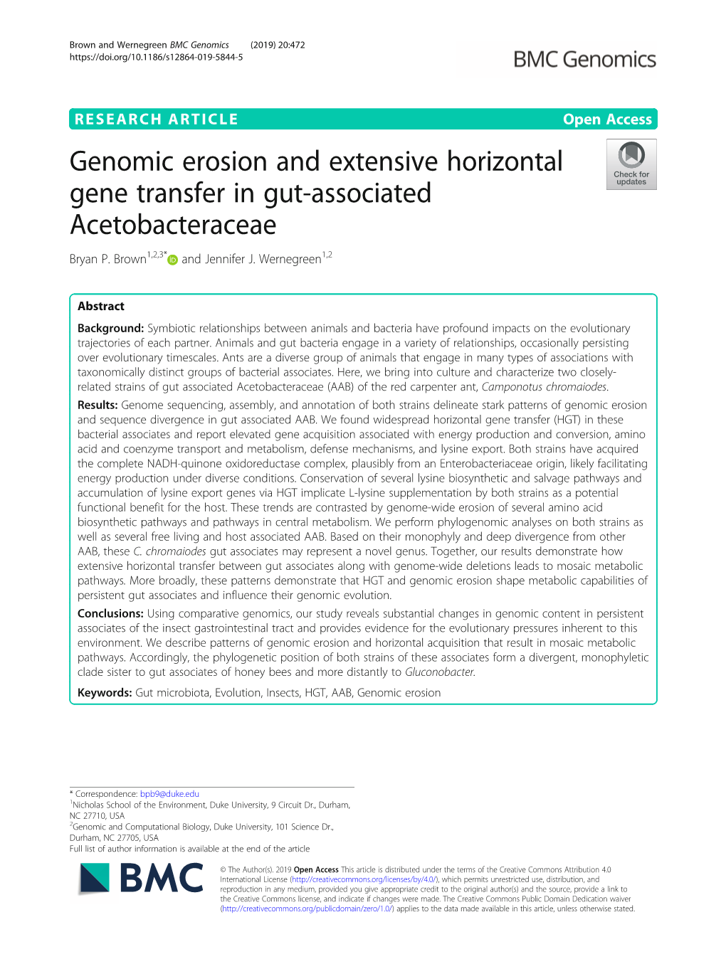 Genomic Erosion and Extensive Horizontal Gene Transfer in Gut-Associated Acetobacteraceae Bryan P