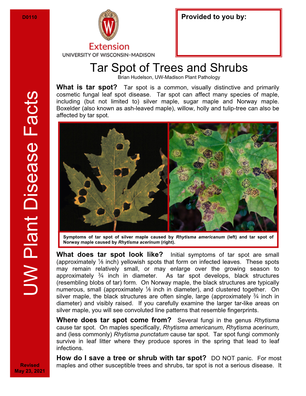 Tar Spot of Trees and Shrubs Brian Hudelson, UW-Madison Plant Pathology