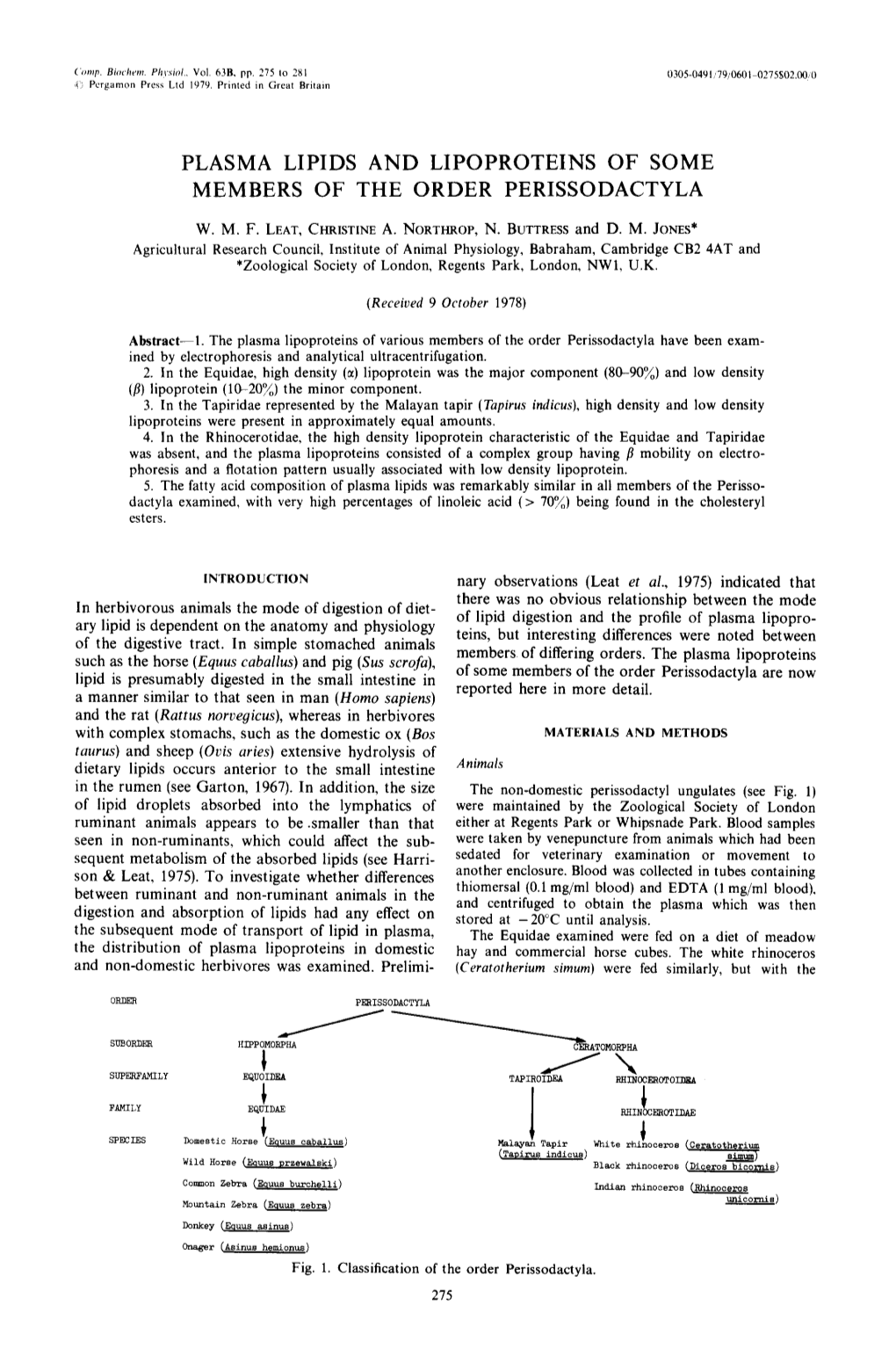 Plasma Lipids and Lipoproteins of Some Members of the Order Perissodactyla