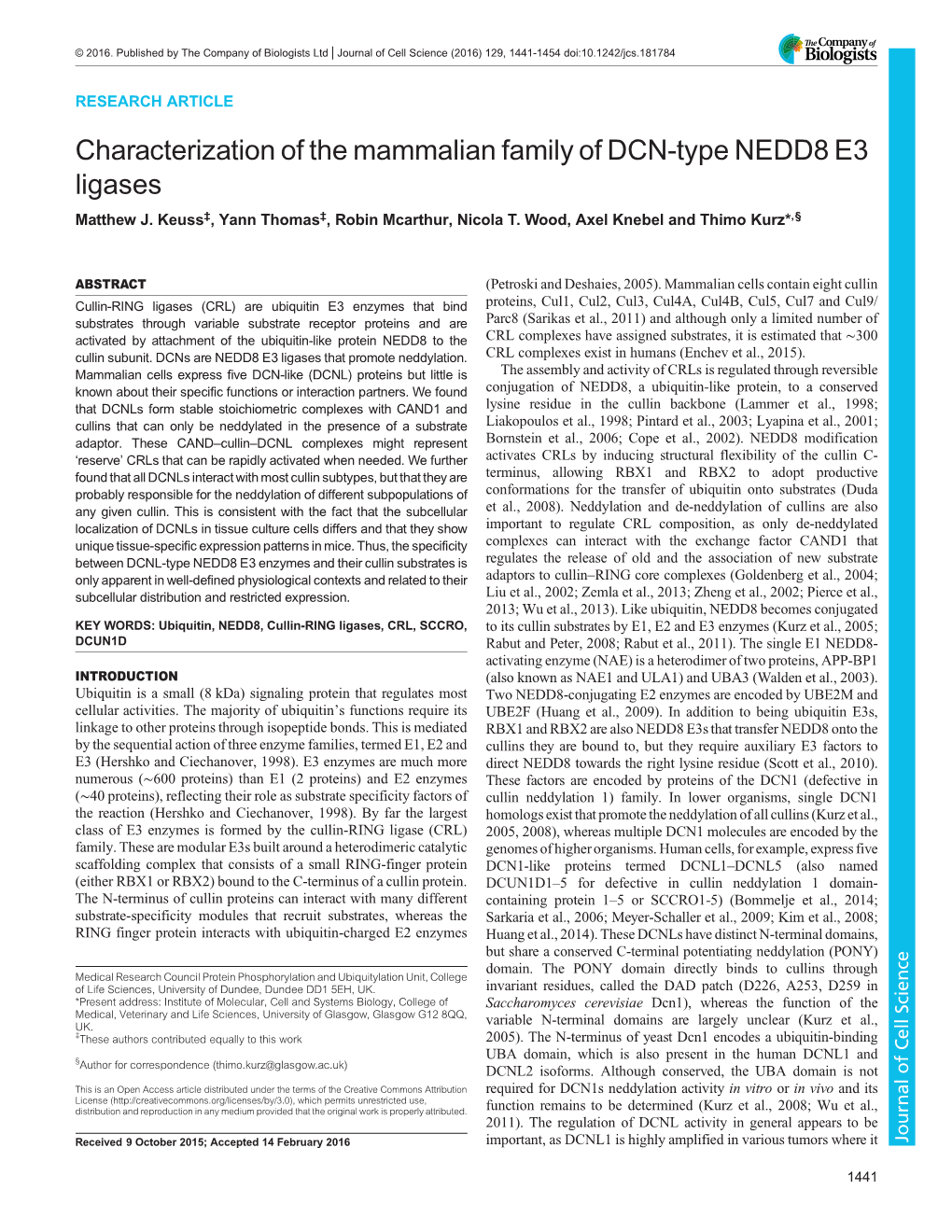 Characterization of the Mammalian Family of DCN-Type NEDD8 E3 Ligases Matthew J