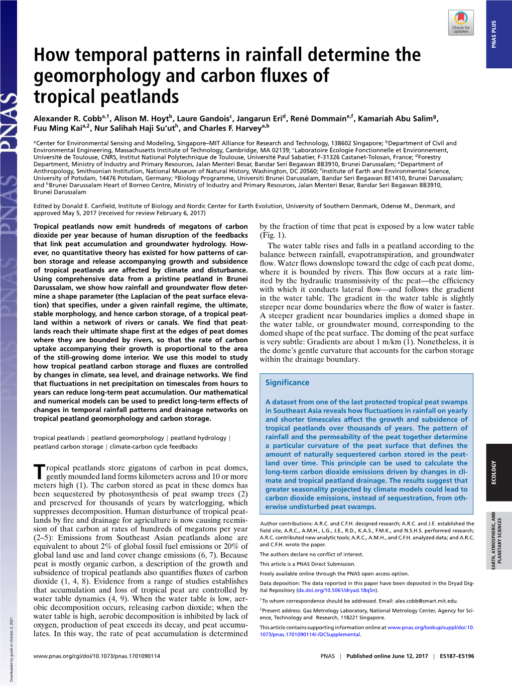 How Temporal Patterns in Rainfall Determine the Geomorphology And