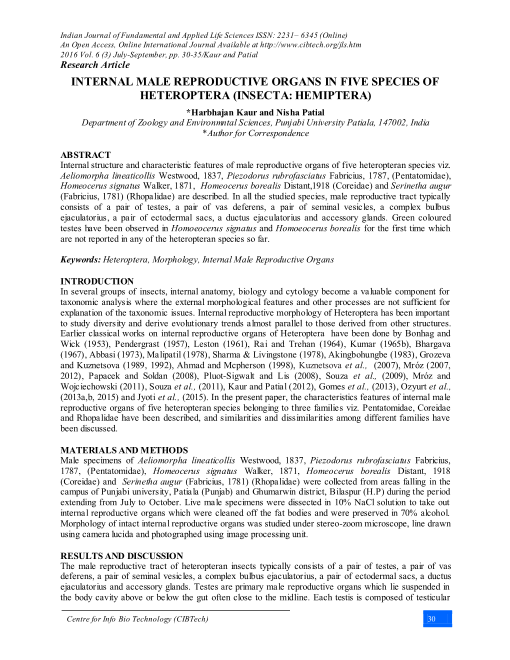 Internal Male Reproductive Organs in Five Species of Heteroptera (Insecta: Hemiptera)