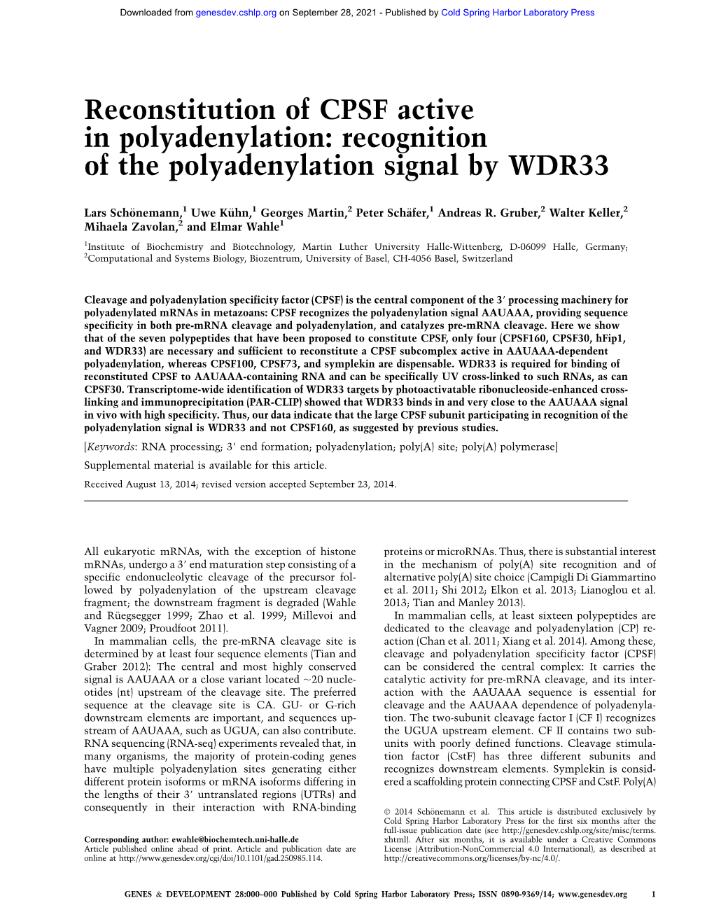 Reconstitution of CPSF Active in Polyadenylation: Recognition of the Polyadenylation Signal by WDR33