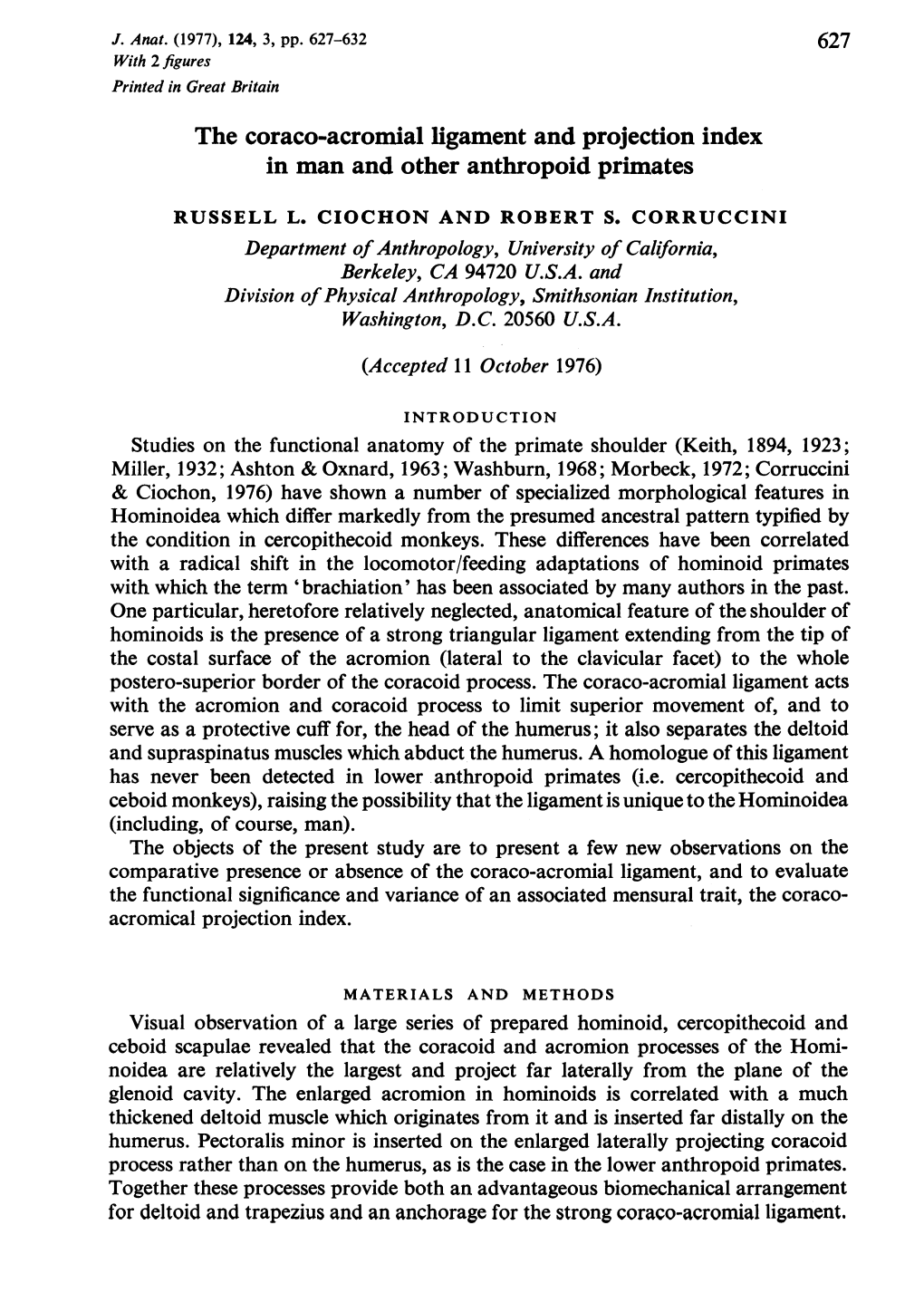 The Coraco-Acromial Ligament and Projection Index in Man and Other Anthropoid Primates