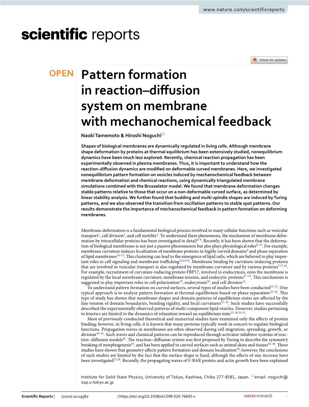 Pattern Formation in Reaction–Diffusion System on Membrane With