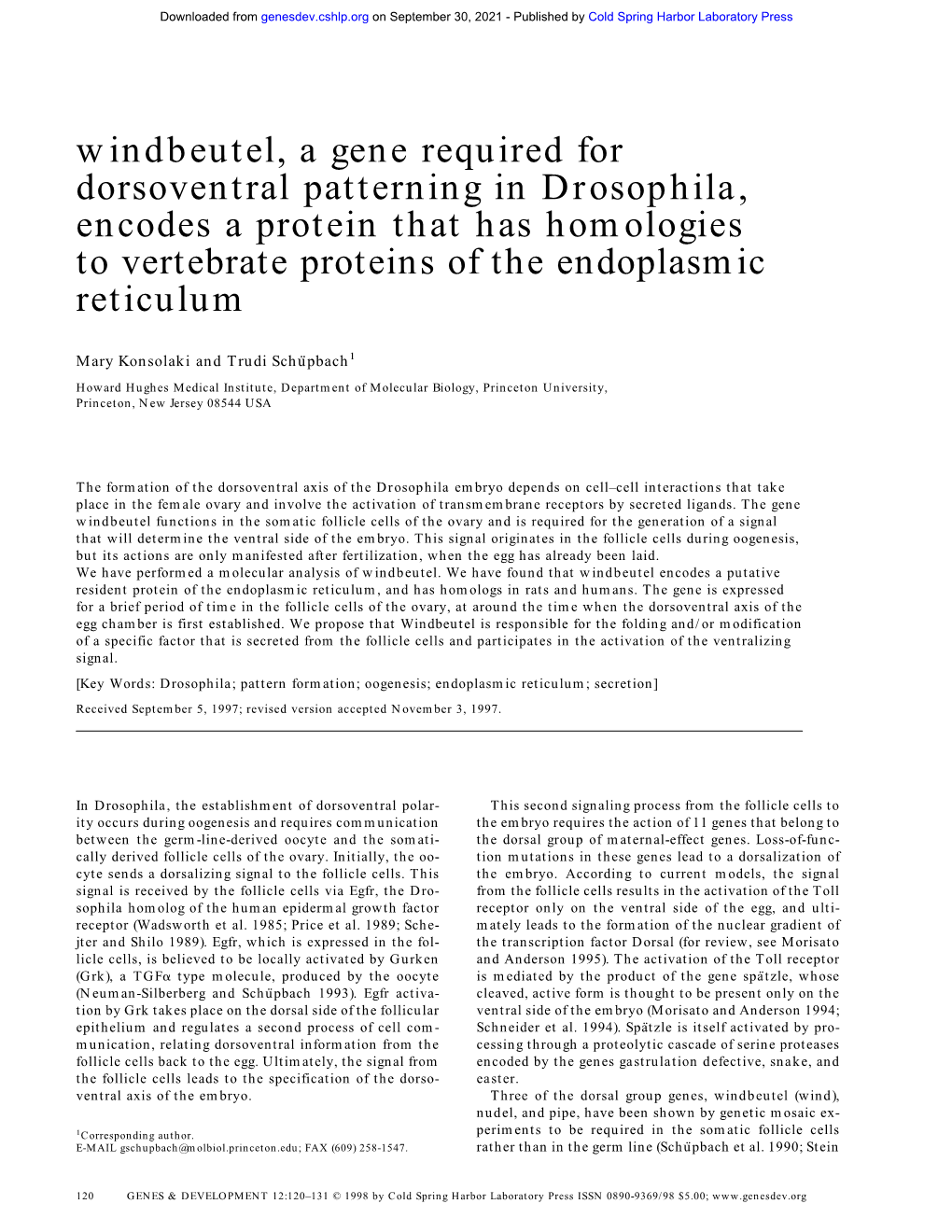 Windbeutel, a Gene Required for Dorsoventral Patterning in Drosophila, Encodes a Protein That Has Homologies to Vertebrate Proteins of the Endoplasmic Reticulum