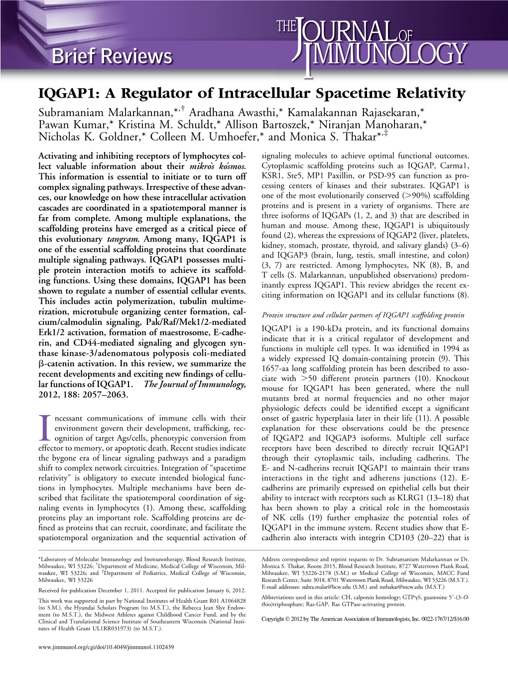 Spacetime Relativity IQGAP1