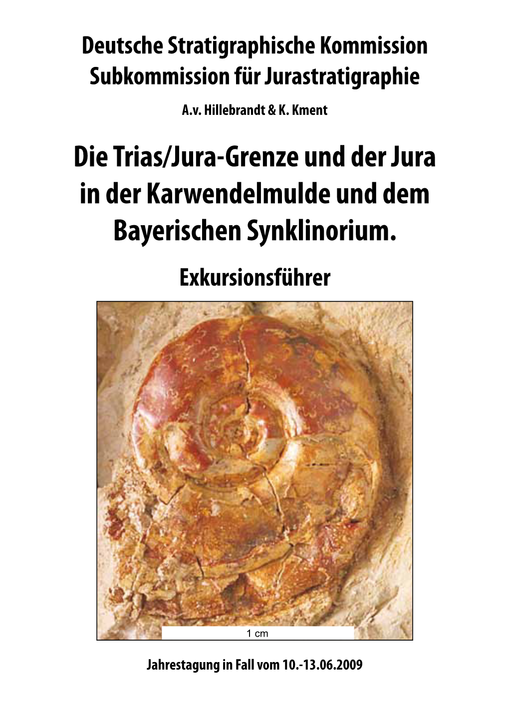 Die Trias/Jura-Grenze Und Der Jura in Der Karwendelmulde Und Dem Bayerischen Synklinorium