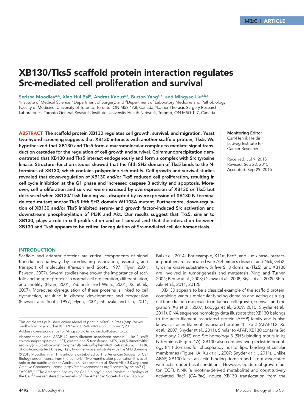 XB130/Tks5 Scaffold Protein Interaction Regulates Src-Mediated Cell Proliferation and Survival