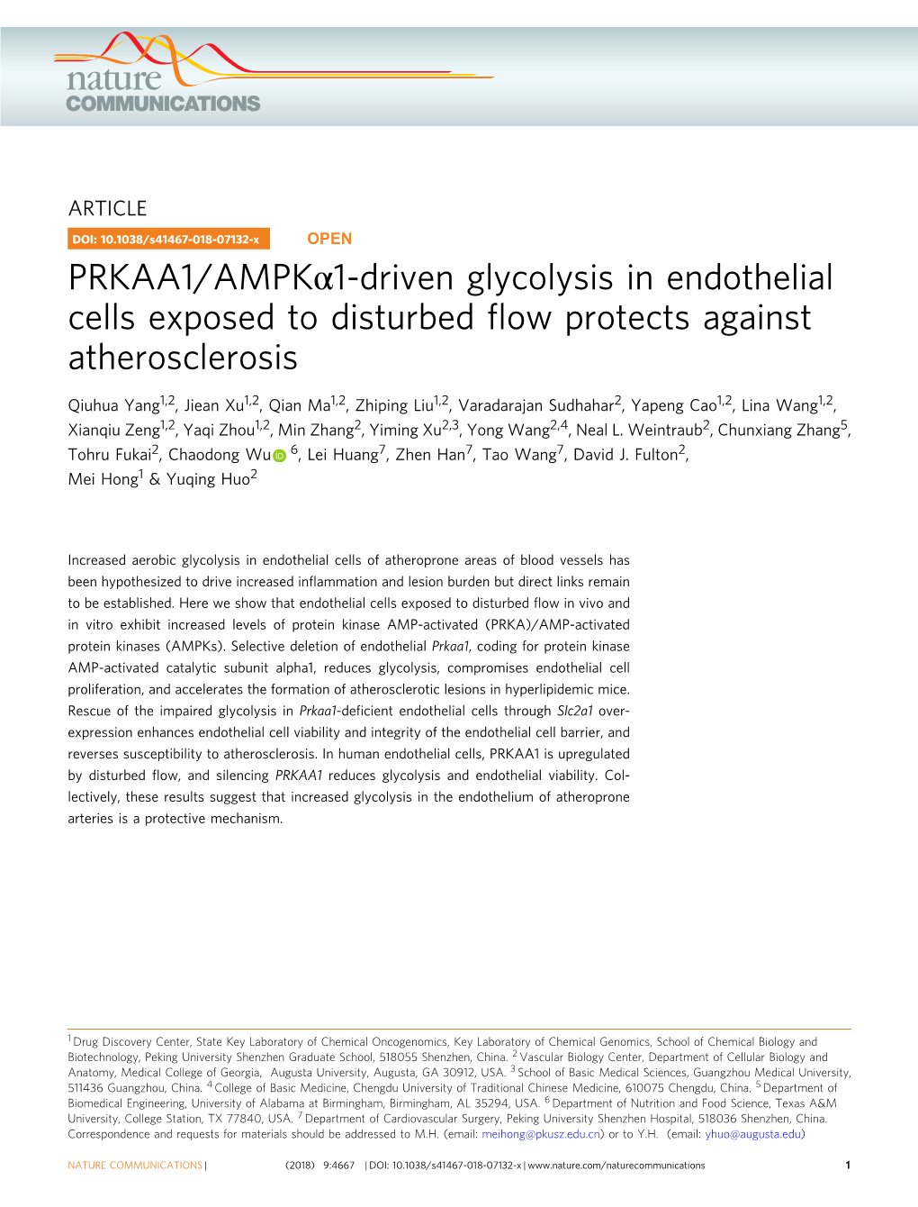 PRKAA1/AMPKÎ±1-Driven Glycolysis in Endothelial Cells Exposed