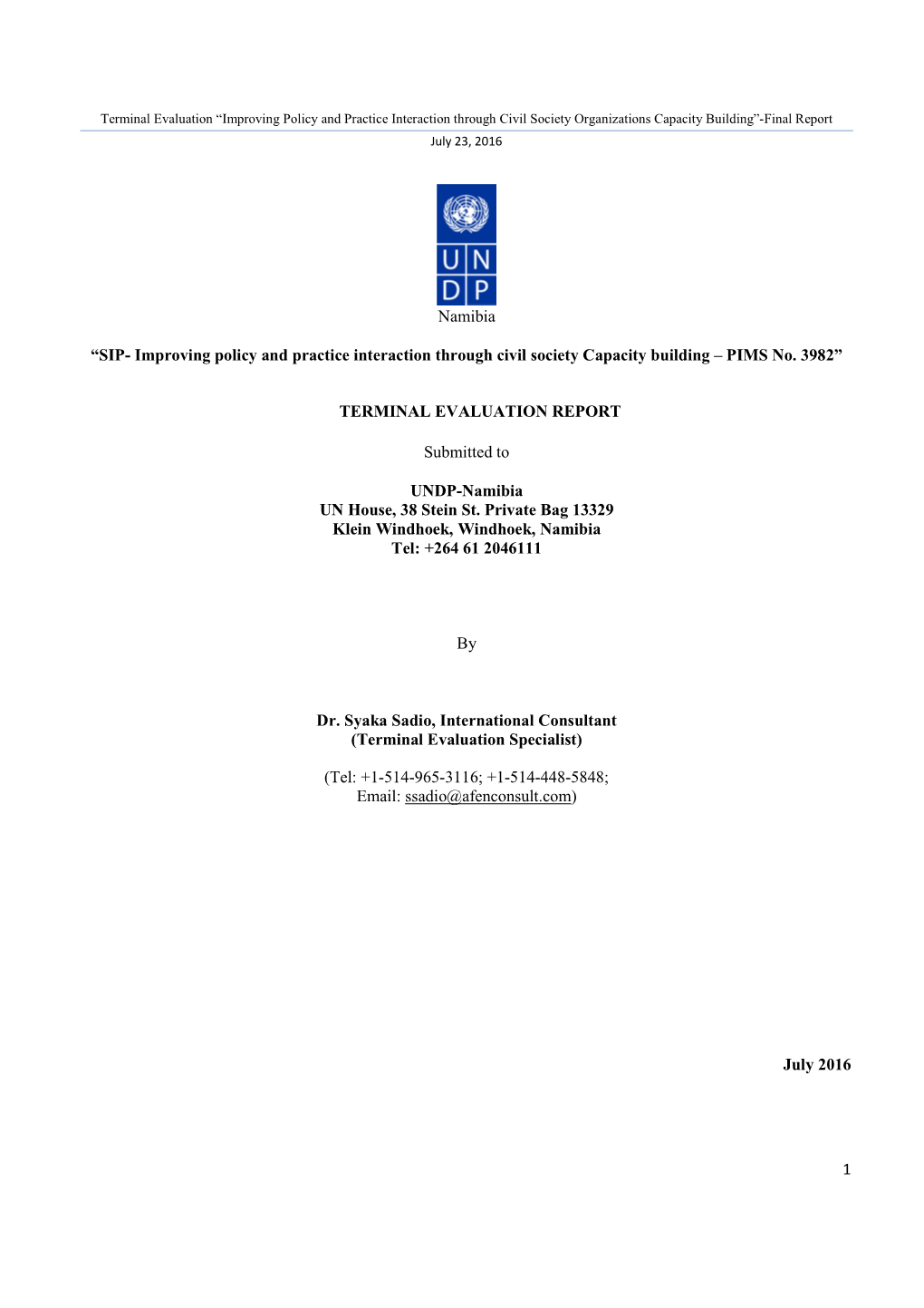 Syaka-UNDP-CSO-UNDP NAMIBIA Termev- Final Report