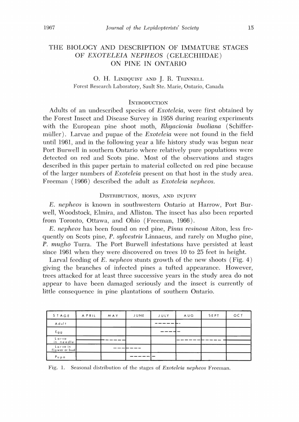 THE BIOLOGY and DESCRIPTION of IMMATURE STAGES of EXOTELEIA NEPHEOS (GELECHIIDAE) on PINE in ONTARIO 15 Adults of an Undescribed