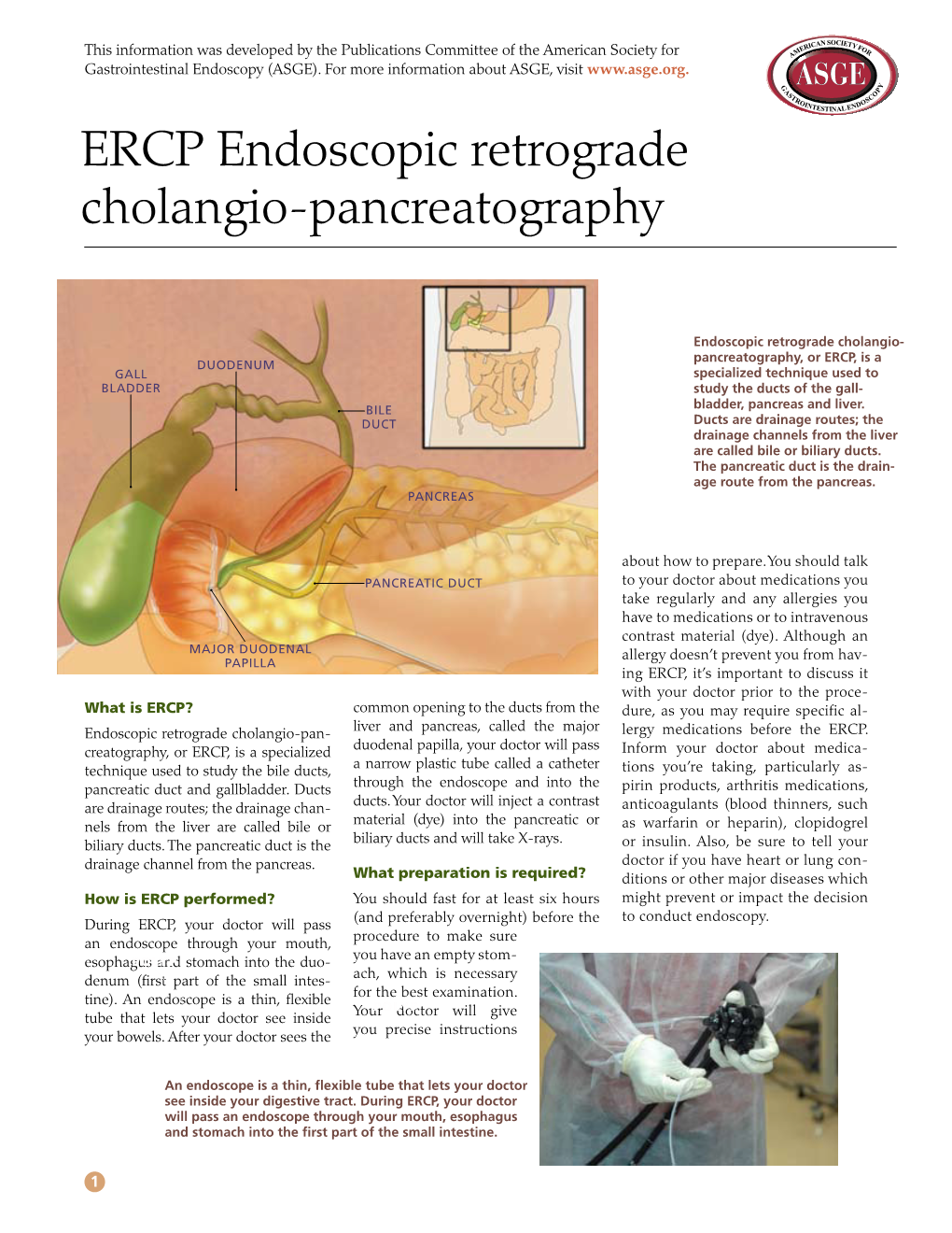 ERCP Endoscopic Retrograde Cholangio-Pancreatography