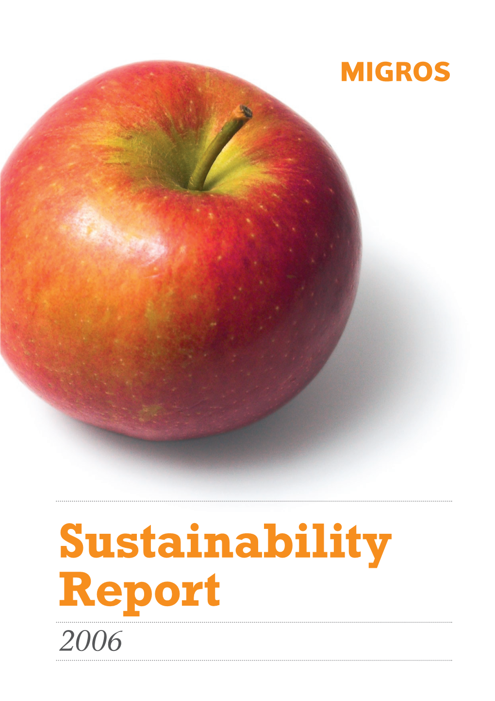 Sustainability Report 2006 Introduction