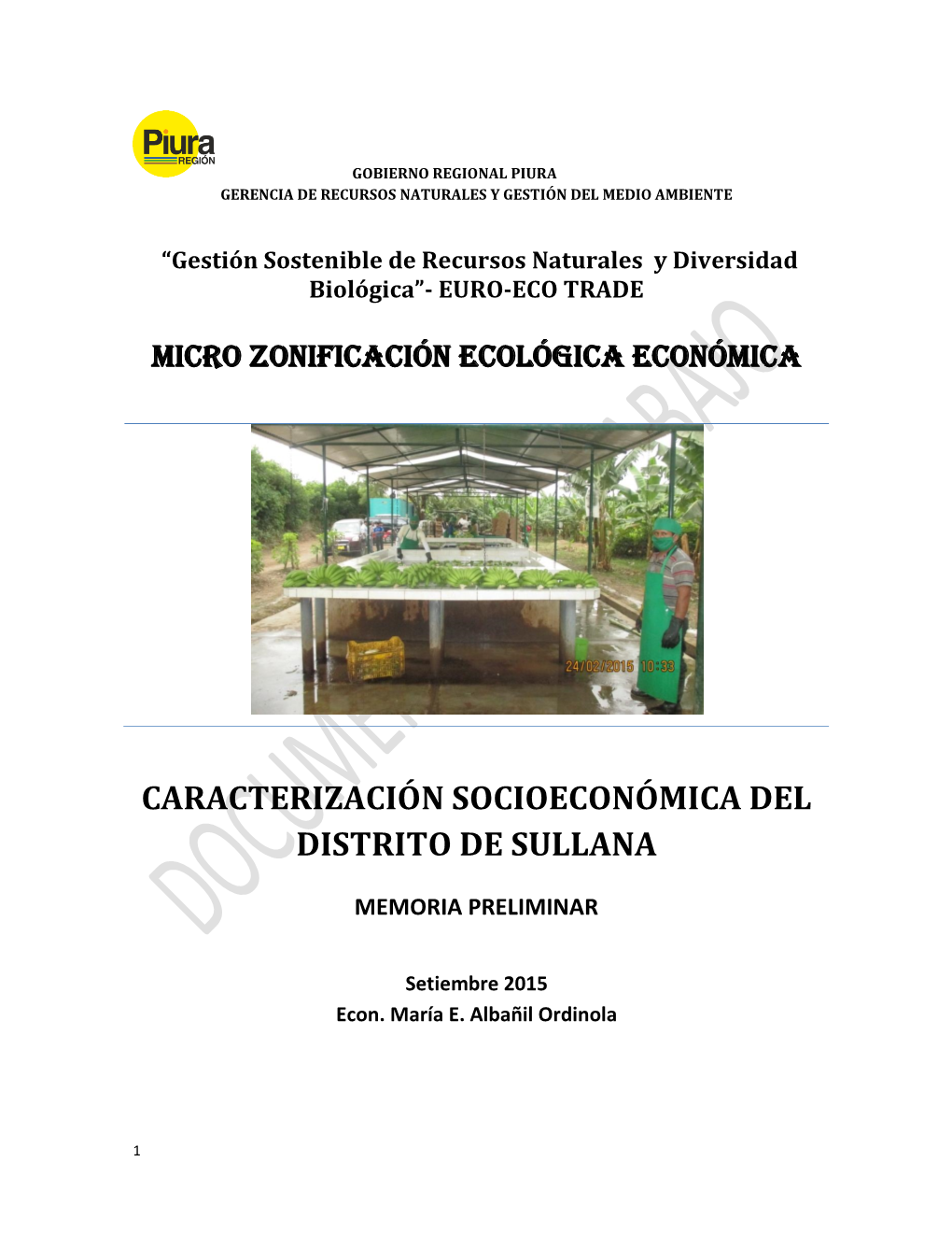 Socio Economico Sullana.Pdf