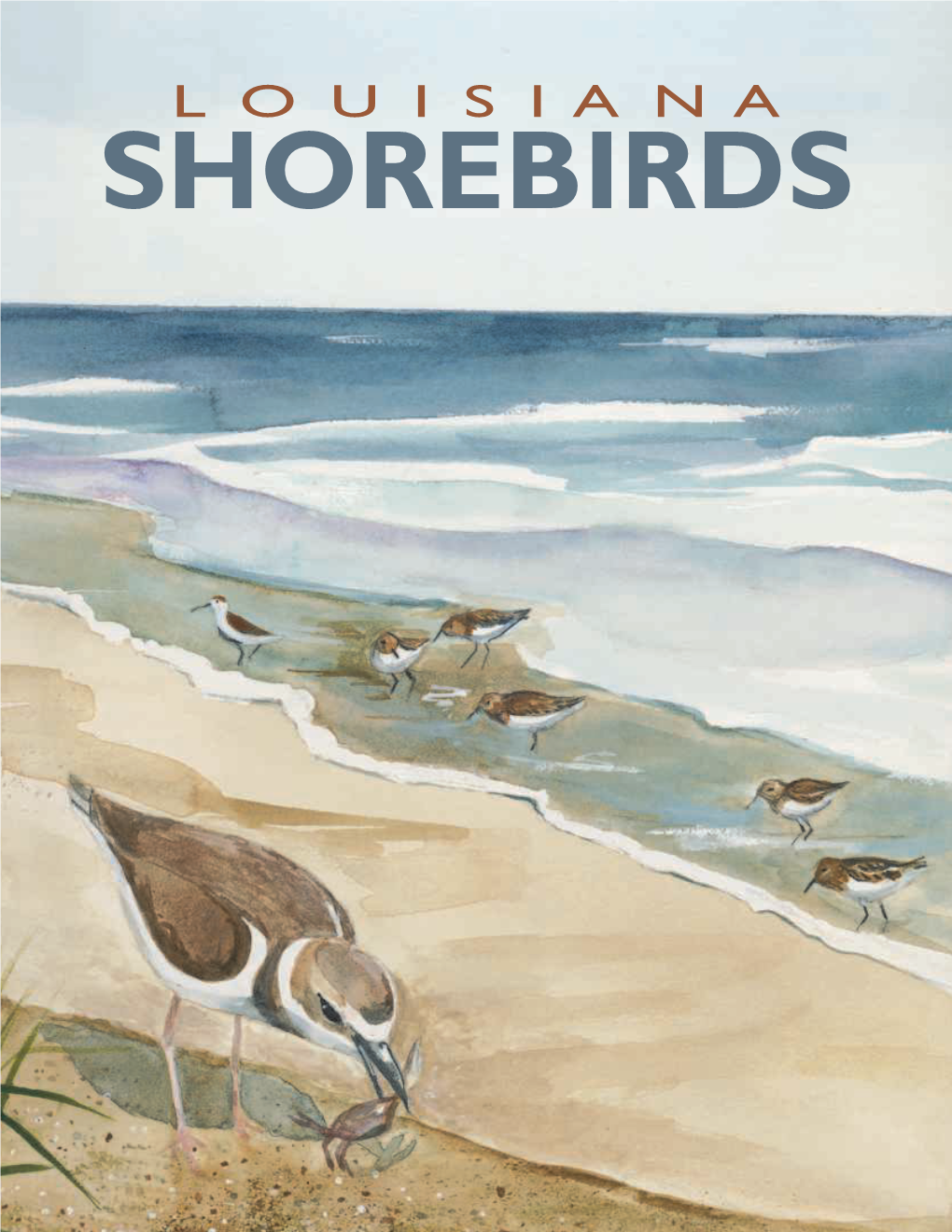 L O U I S I a N a SHOREBIRDS This Public Document Was Published at a Total Cost of $5,226.00