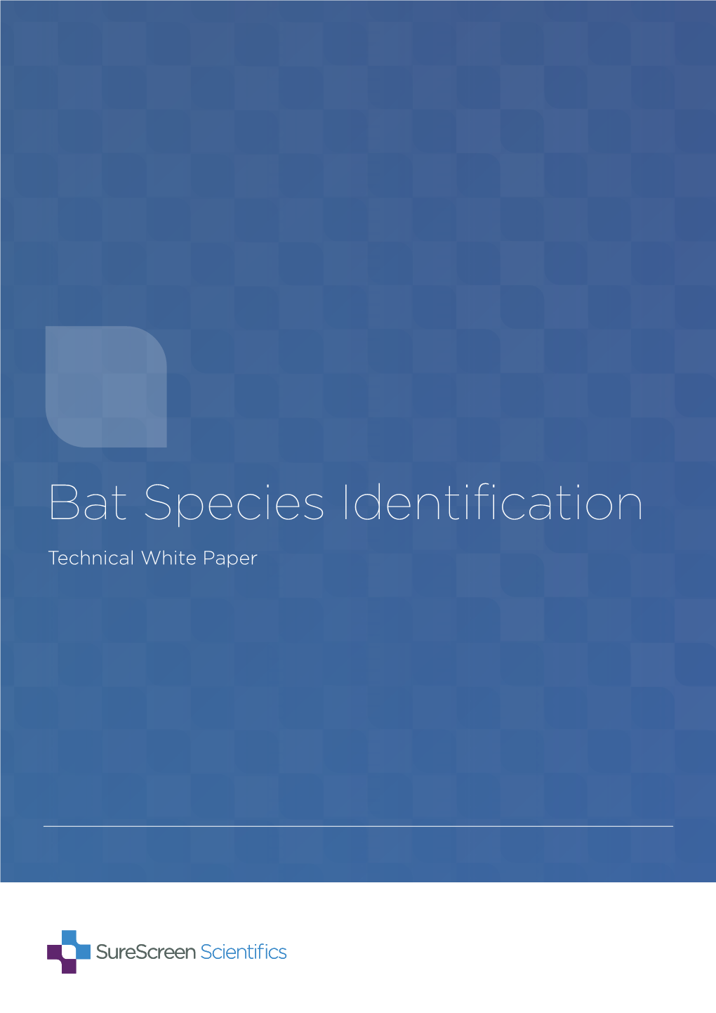 Bat Species Identification