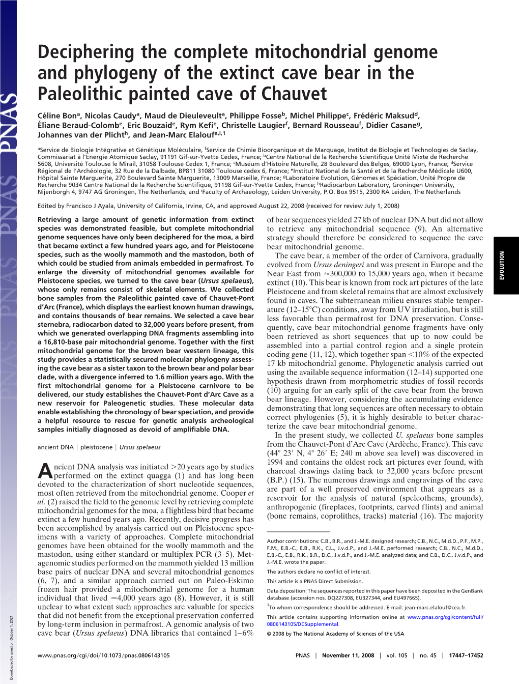 Deciphering the Complete Mitochondrial Genome and Phylogeny of the Extinct Cave Bear in the Paleolithic Painted Cave of Chauvet