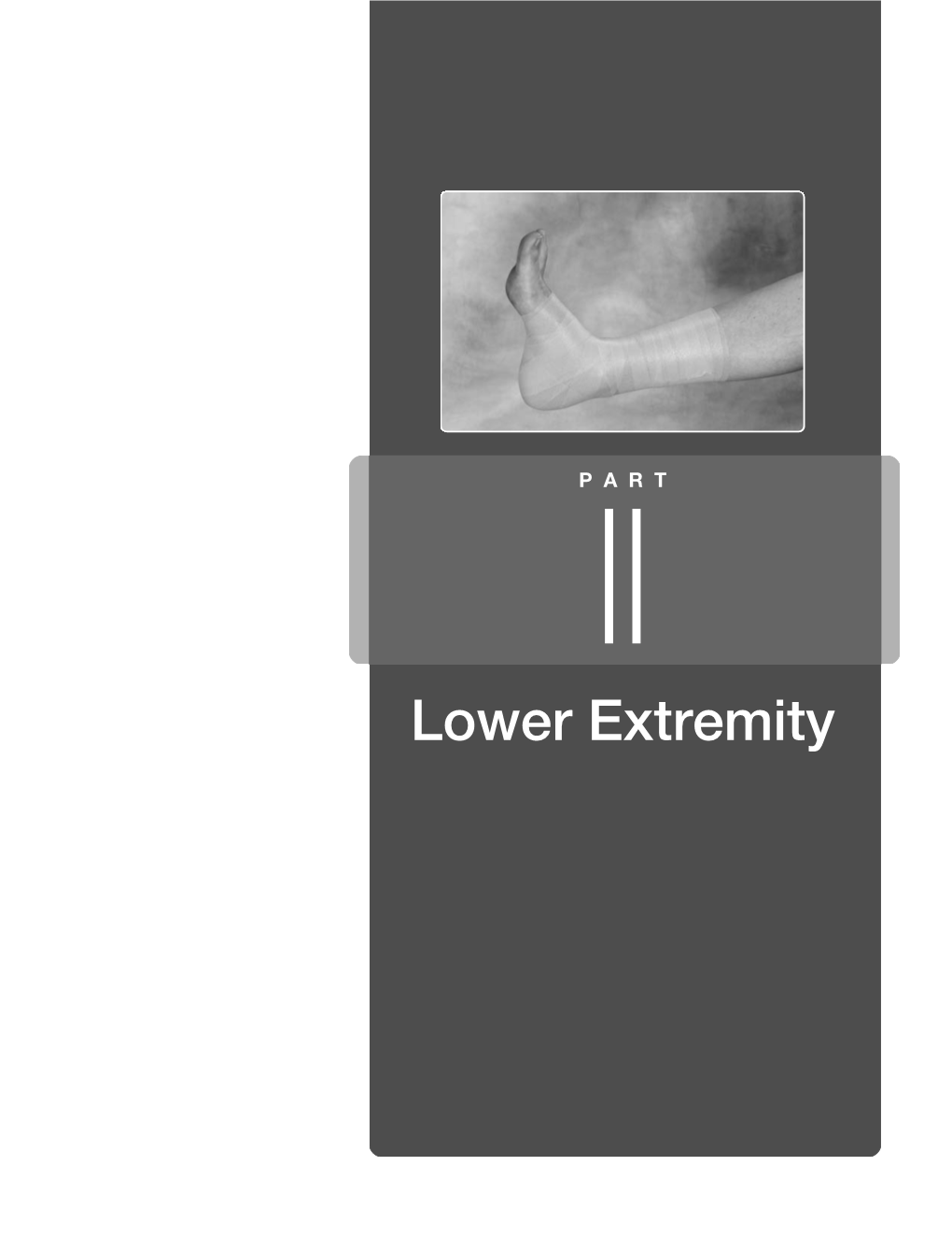 Lower Extremity CHAPTER 4 Lower Leg