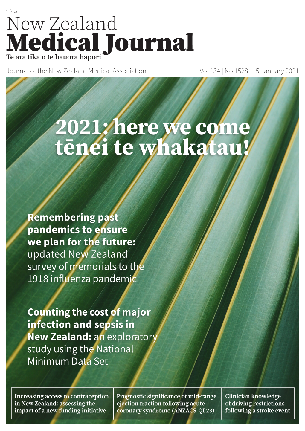2021: Here We Come Tēnei Te Whakatau!