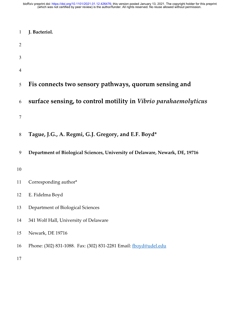 Fis Connects Two Sensory Pathways, Quorum Sensing and Surface