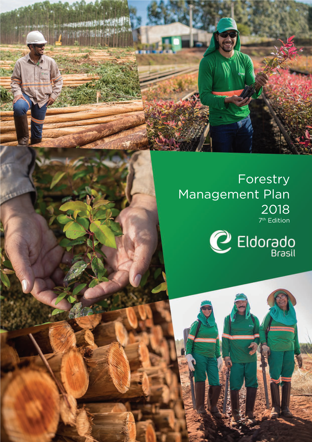 Forestry Management Plan 2018 7Th Edition
