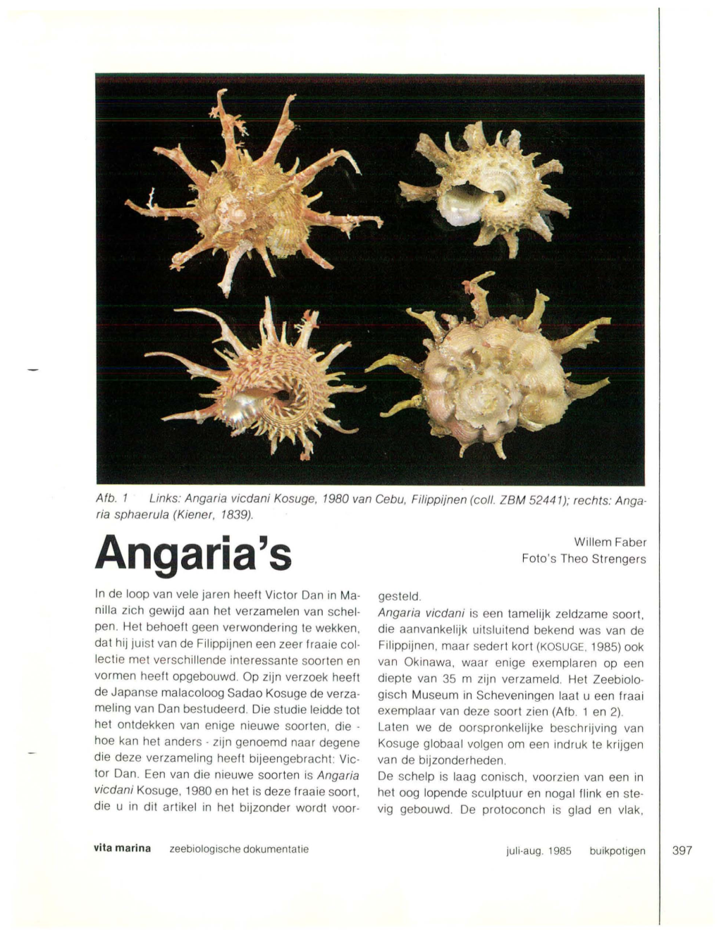 Angaria's Foto's Theo Stre Ngers
